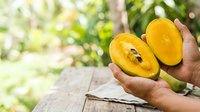 Farmer holding freshly harvested mango halves with pit visible, displaying tropical fruit quality and agricultural harvest in orchard setting with natural sunlight.