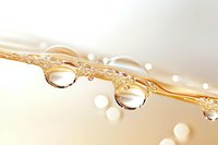 Macro photography of transparent water drops on golden surface with soft bokeh background, showing surface tension and light refraction effects.