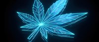 Glowing neon blue cannabis leaf with electric outline on dark background for modern digital design and futuristic medical marijuana concepts.