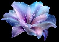 Luminous lily flower with cosmic galaxy pattern in pink and blue colors with sparkling stars and nebula effects on black background, isolated design element.