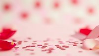 Romantic pink background with scattered red rose petals and soft bokeh lights for Valentine's Day celebration and love themed designs.