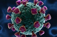 Microscopic view of coronavirus structure showing green spherical viral body with magenta protein spikes against dark blue background for medical education.