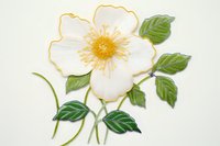 White flower with yellow center and green leaves painted in watercolor style on light background, isolated artwork for creative design and decoration.