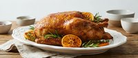 Golden roasted turkey with herbs and orange slices on white platter, perfect for Thanksgiving dinner, holiday feast, family gathering celebration.