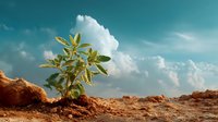 Young green plant growing from dry soil against dramatic turquoise sky with fluffy white clouds, symbolizing hope, resilience and new beginnings.