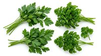 Isolated fresh parsley and curly kale bunches on white background, ready for culinary design, recipe graphics, and food packaging applications.