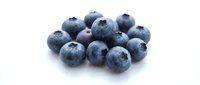 Fresh blueberries with natural bloom isolated on white background, ready for food and beverage design, packaging, and culinary content.