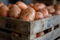 Fresh sweet potatoes in rustic wooden crate, close-up view showing natural texture and earthy colors of farm harvested produce. Organic food background.