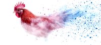 Red rooster with bright comb dissolving into pink and blue watercolor splashes and paint splatters on white background, artistic farm bird illustration.
