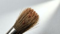 Natural bristle paintbrush with worn brown fibers on metallic ferrule, isolated on white background for art supplies, crafts, and design projects.