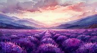 Vibrant purple lavender field stretching toward distant mountains under dramatic sunset sky with pink and orange clouds.