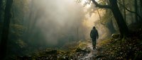 Lone hiker walking through misty autumn forest path with golden sunlight filtering through trees and fallen leaves covering ground creating atmospheric mood.