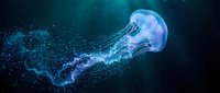 Luminous jellyfish glowing with blue bioluminescence swimming gracefully through dark ocean waters with trailing tentacles and sparkling particles.