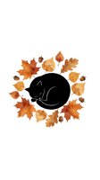 Sleeping black cat silhouette surrounded by autumn leaves and acorns on white background, isolated clipart for fall designs and seasonal projects.
