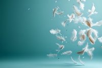 White feathers floating gracefully through air against soft turquoise background creating dreamy ethereal atmosphere for wellness and freedom concepts.