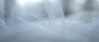 Soft white tulle fabric with delicate mesh texture creating dreamy ethereal background for wedding, bridal, fashion and romantic design projects.