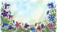 Watercolor floral border with colorful columbine flowers in purple, pink, blue and white on soft pastel background with copy space.