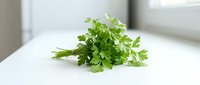 Fresh green parsley bunch isolated on white surface, ready for culinary use in cooking, garnishing, and food preparation projects.
