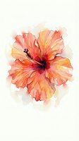 Watercolor hibiscus flower in coral and peach tones isolated on white background for tropical design projects and botanical artwork.