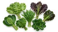 Fresh assorted leafy greens including lettuce, kale, and spinach isolated on white background, ready for culinary, nutritional, and healthy eating design projects.