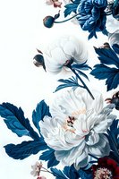Luxurious white peonies with deep blue leaves on white background, elegant floral composition in classic botanical art style. Isolated design ready for prints.