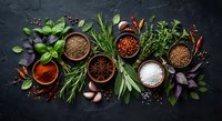 Fresh herbs and spices collection with rosemary, basil, oregano, garlic, peppercorns, paprika, cinnamon sticks and sea salt on dark slate background.