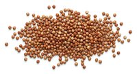 Coriander seeds scattered on white background, aromatic spice for cooking and seasoning, natural organic ingredient for culinary recipes and food preparation.