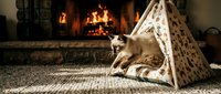 Young dog playing in small tent near fireplace with warm fire burning in background, cozy home interior setting.