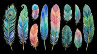 Colorful feather collection with watercolor details, isolated on transparent background. Ready for t-shirt designs, clipart, stickers, sublimation, print-on-demand products, and digital crafts.