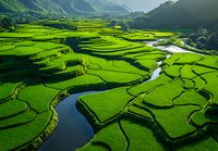 Vibrant green terraced rice fields with winding river through agricultural landscape, dramatic mountain backdrop and traditional farming patterns in rural valley.