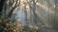 Mystical forest scene with sunbeams filtering through bare trees creating magical atmosphere with floating particles and warm golden light rays.