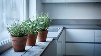 Fresh herbs in terracotta pots on modern kitchen windowsill with natural light creating cozy cooking atmosphere for culinary and home decor projects.