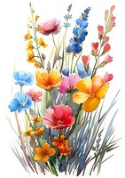Vibrant wildflowers bouquet in watercolor style featuring pink poppies, blue delphiniums, yellow cosmos and orange marigolds against white background, isolated for design use.