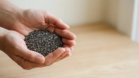 Hand holding a pile of poppy seeds or small black grains in palm, displaying texture and natural ingredients for cooking, baking, or nutritional content purposes.