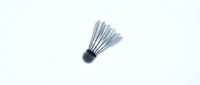 Badminton shuttlecock with white feathers and dark cork base isolated on white background, ready for sports and recreation design projects.