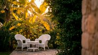 Cozy white wicker chairs and table set on stone patio surrounded by lush tropical plants during golden hour sunset creating peaceful outdoor living space.