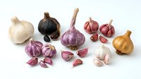 Fresh garlic and onion varieties isolated on white background, ready for culinary design, recipe graphics, food packaging and cooking content.