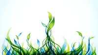 Abstract flowing organic shapes in green and blue tones creating dynamic movement pattern on white background for modern design projects.