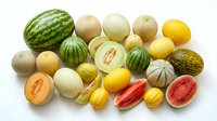 Assorted fresh melons collection including watermelon, cantaloupe, honeydew and exotic varieties isolated on white background for healthy eating concepts.