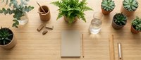 Flat lay of a wooden desk with green plants, notebook, ruler, pencils, and a glass of water, creating a calm workspace aesthetic.