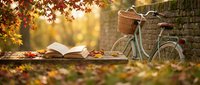 Vintage bicycle with wicker basket parked beside autumn picnic blanket with open book under golden sunlight filtering through colorful fall foliage.