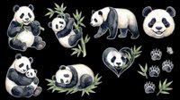Cute giant pandas in various poses with bamboo leaves and paw prints, isolated on transparent background. Ready for t-shirt designs, stickers, clipart, sublimation, print-on-demand products and digital crafts.