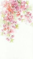 Watercolor cherry blossom branch with pink flowers and green leaves on white background for spring wedding invitations and feminine designs.