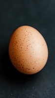 Fresh brown speckled chicken egg on dark background with dramatic lighting and shallow depth of field, macro photography style for food and cooking concepts.