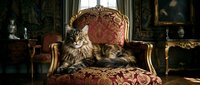Long-haired cat sitting on ornate vintage armchair with burgundy upholstery in luxurious classical interior setting.