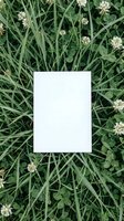 Blank white paper card mockup on green grass with white clover flowers for branding, stationery design, invitation templates and marketing materials.