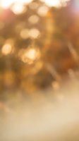 Abstract warm golden bokeh lights background with soft blur effect for holiday celebrations and festive decorations.