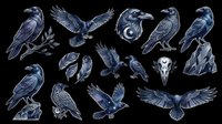 Raven and crow collection isolated on transparent background, ready for t-shirt design, clipart, stickers, sublimation and print-on-demand projects.