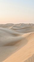 Vast desert landscape with rolling sand dunes under soft golden light during sunrise or sunset. Rippled sand patterns create depth across undulating terrain. Suitable for travel, nature, and background design projects.