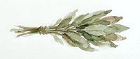 Dried hop flowers bundle tied with twine, isolated on white background, ready for brewing, herbal tea, craft beer design, and culinary projects.